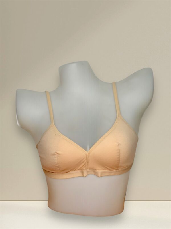 Classic Skin Tone Padded Bra