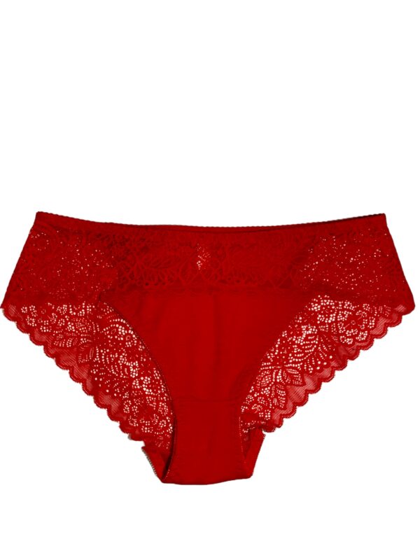 Delicate Lace-Trim Underwear - Image 2