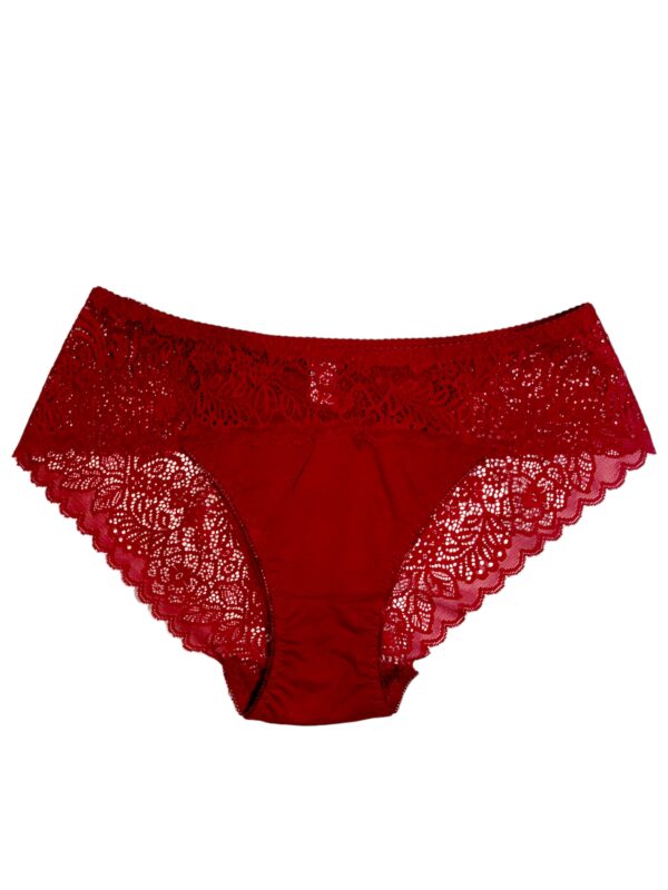 Delicate Lace-Trim Underwear - Image 3