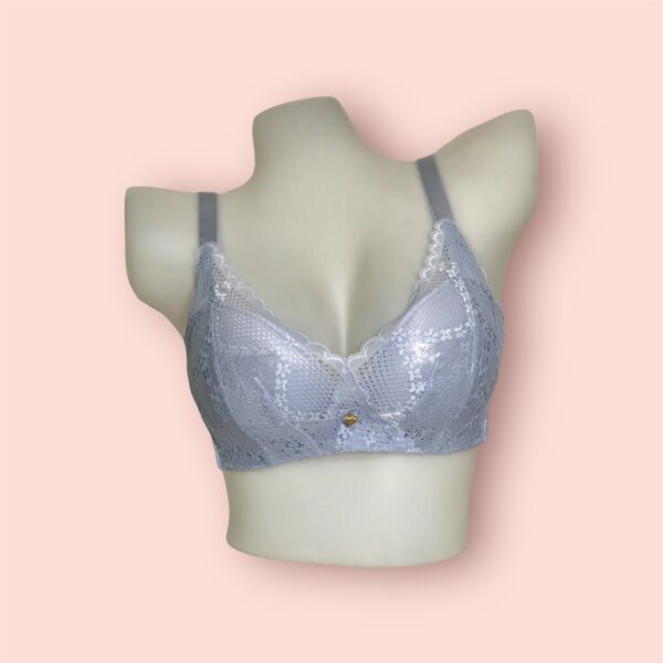 Women Lace Paded Bra - Image 3